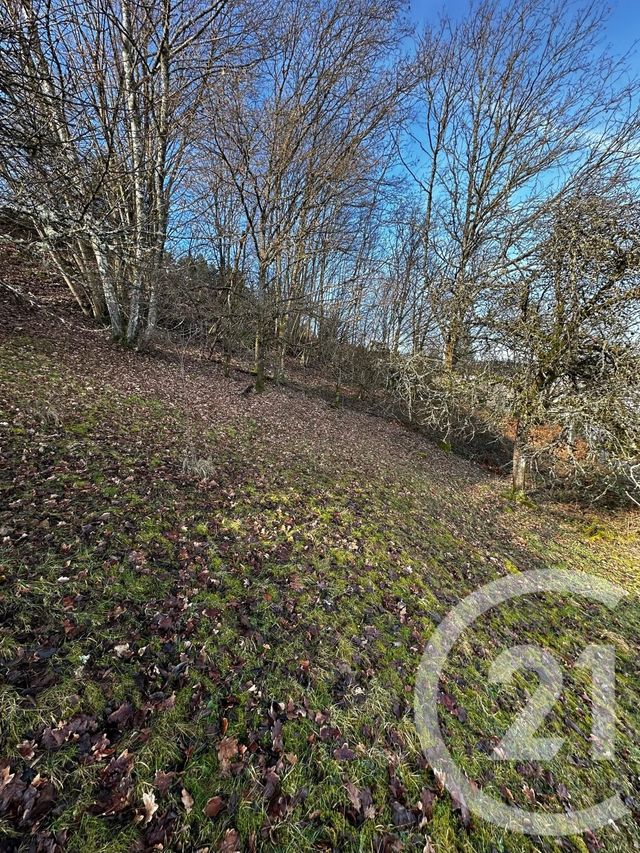 terrain à vendre - 1526.0 m2 - REMIREMONT - 88 - LORRAINE - Century 21 Monts Et Vallées