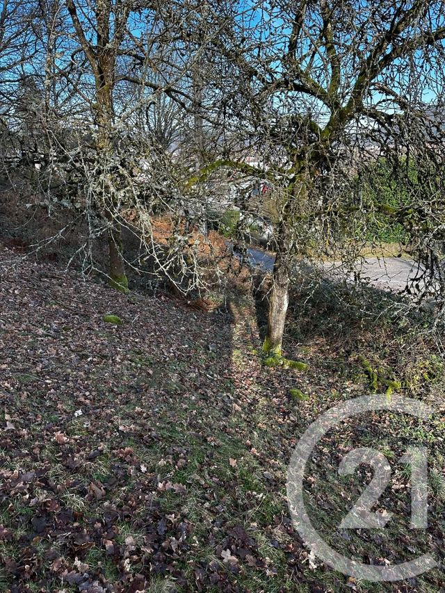 terrain à vendre - 1526.0 m2 - REMIREMONT - 88 - LORRAINE - Century 21 Monts Et Vallées