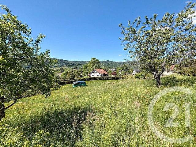 terrain à vendre - 1083.0 m2 - RAMONCHAMP - 88 - LORRAINE - Century 21 Monts Et Vallées