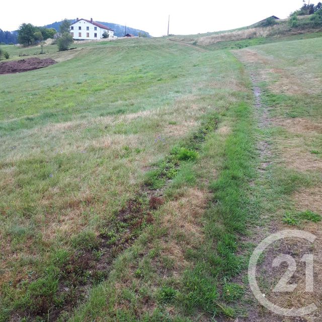 terrain à vendre - 2866.0 m2 - LE THOLY - 88 - LORRAINE - Century 21 Monts Et Vallées