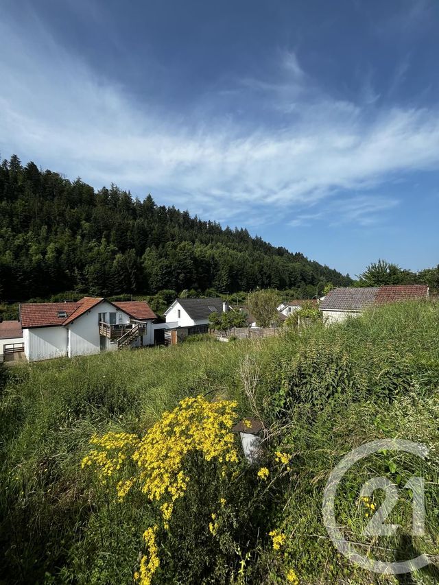 terrain à vendre - 941.0 m2 - REMIREMONT - 88 - LORRAINE - Century 21 Monts Et Vallées