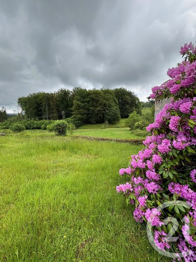 maison à vendre - 7 pièces - 103.0 m2 - JUSSARUPT - 88 - LORRAINE - Century 21 Monts Et Vallées