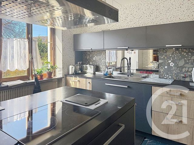 maison - ST NABORD - 88