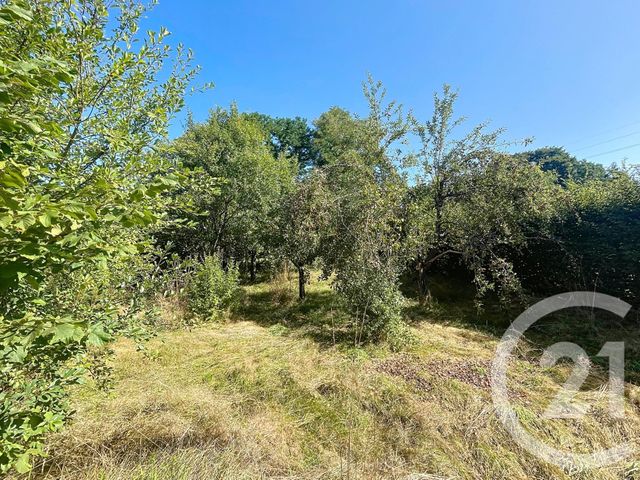 maison à vendre - 9 pièces - 203.1 m2 - ARCHES - 88 - LORRAINE - Century 21 Monts Et Vallées