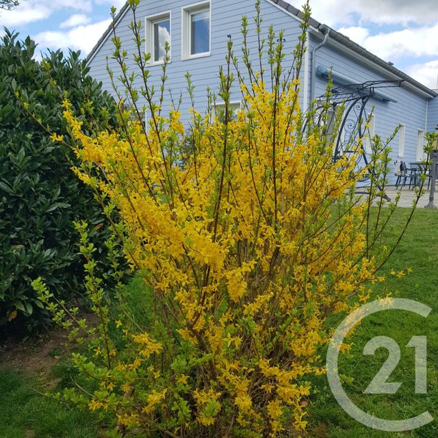 maison à vendre - 7 pièces - 205.43 m2 - RAON AUX BOIS - 88 - LORRAINE - Century 21 Monts Et Vallées