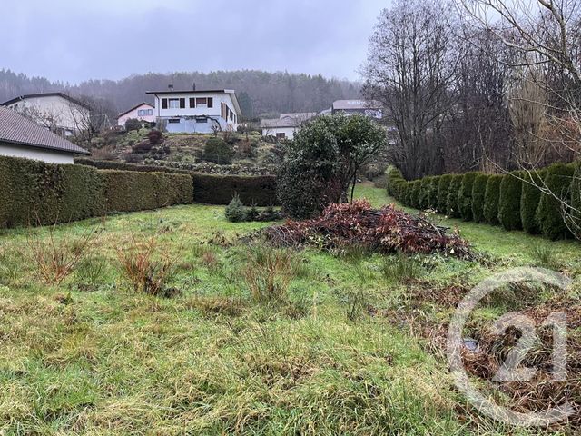terrain - ST NABORD - 88