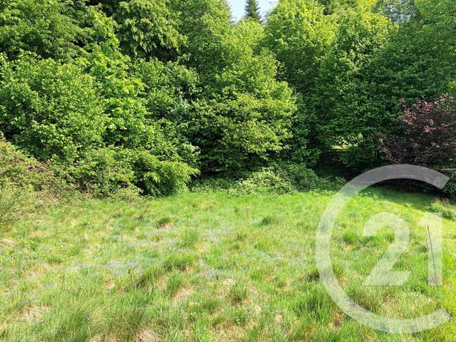 terrain à vendre - 1352.0 m2 - ST ETIENNE LES REMIREMONT - 88 - LORRAINE - Century 21 Monts Et Vallées