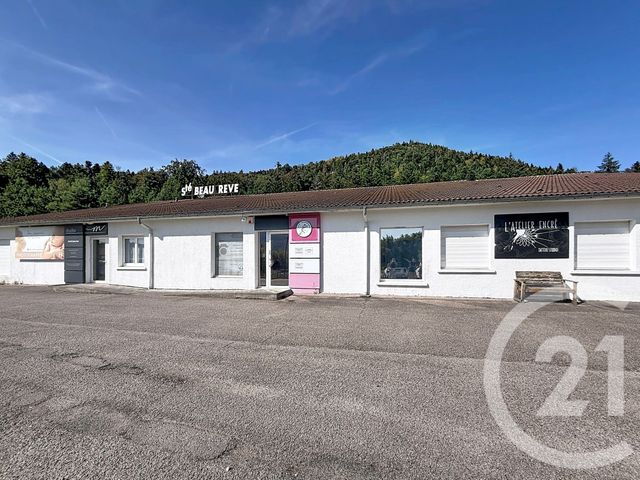 immeuble à vendre - 1381.0 m2 - ST AME - 88 - LORRAINE - Century 21 Monts Et Vallées